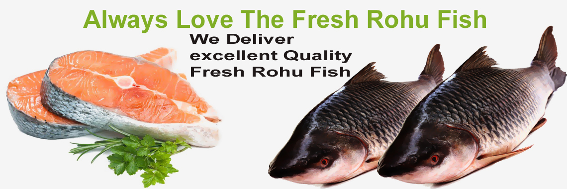 Fresh Raw Fish 