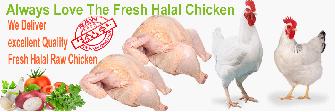 Fresh Raw 100 % Halal Chicken