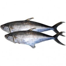 Surmai fish 1kg 
